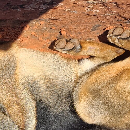 Freedom, truth, love, BTC