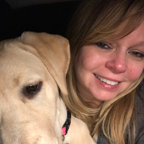 🇺🇸🇺🇸🇺🇸