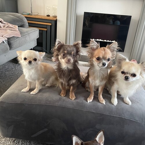 Mother of a teen. Love politics and my country 🇬🇧 “When tyranny becomes law, rebellion becomes duty” TJ