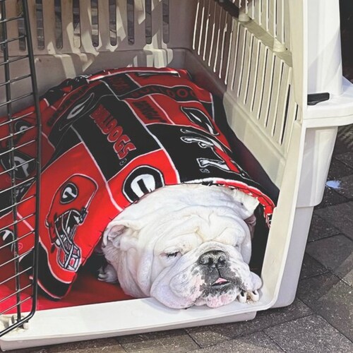 conservative great grandmother. wife of former Marine. God loving