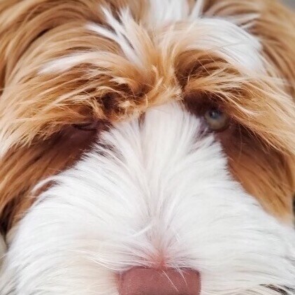 seeker of truth, visionary, once you see you can’t unsee.