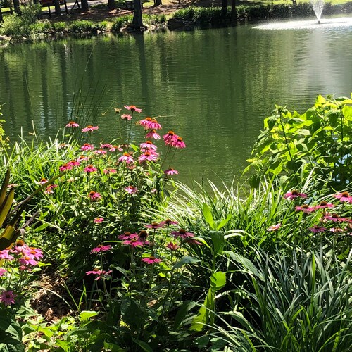 America First, God and Country always.