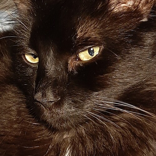 Visit MizKibbs's profile on GETTR. View their posts, photos, videos, and connect with them on the social platform.