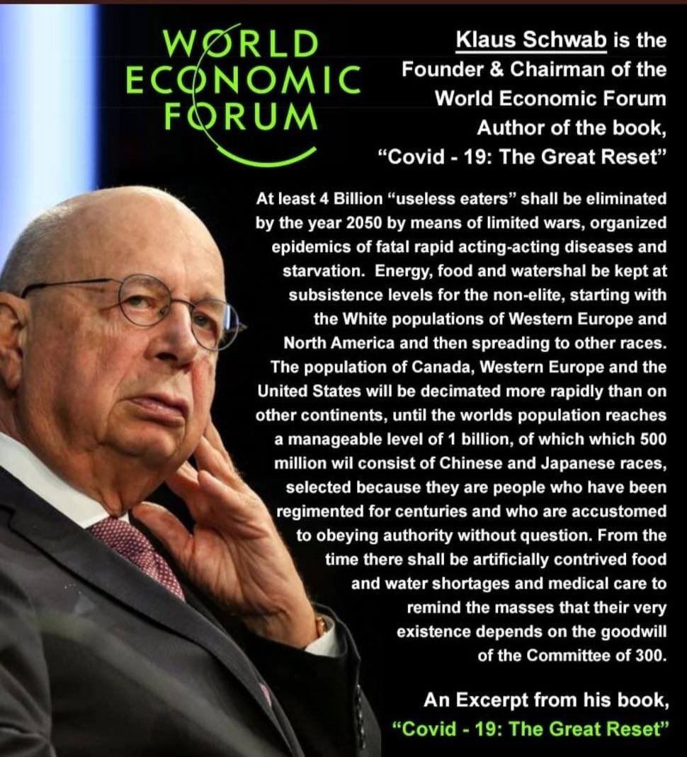 Klaus Schwab said it very clearly at the World Economic Forum: "...... until the world population drops to a manageable one billion, 500 million of whom are of Chinese and Japanese races. They were chosen because they have been militarized for many centuries and they have become accustomed to unconditional obedience without asking questions".
@pandarolling 