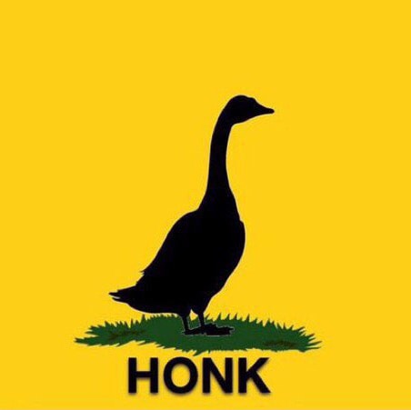 An American fighting for this country and knows Trump Won.