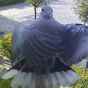 Visit WalterP94's profile on GETTR. View their posts, photos, videos, and connect with them on the social platform.