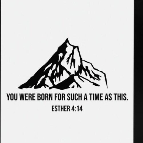 Visit spatterson81's profile on GETTR. View their posts, photos, videos, and connect with them on the social platform.