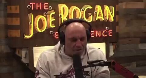 View LVanDamme's post on GETTR. Join the discussion, share your thoughts, and connect with the community.