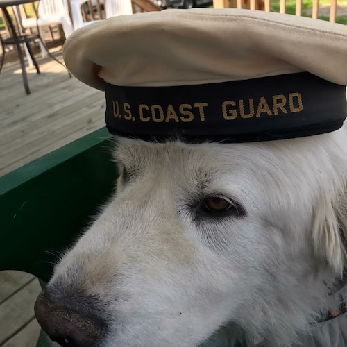 Retired Grandpa. Former US Coast Guard Damage Controlman First Class. AAS and BS; Magna Cum Laude, Kent State University...