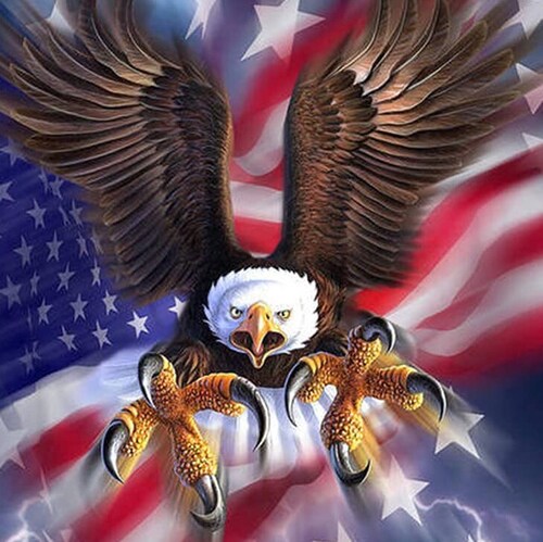 Just a midwest common sense patriot who loves our country. #MAGA