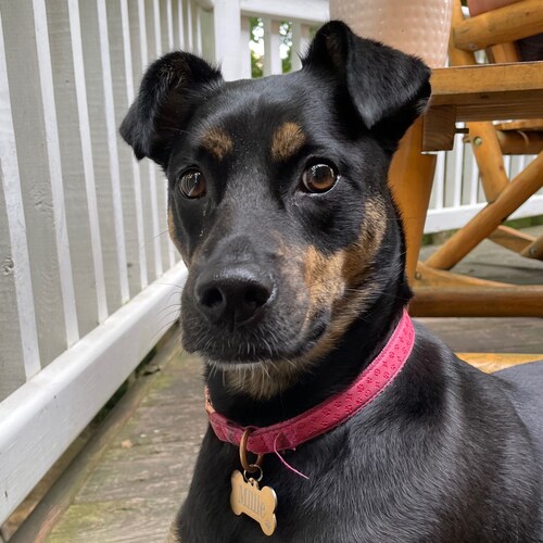 Wife. Mother. Teacher. Truth Seeker.