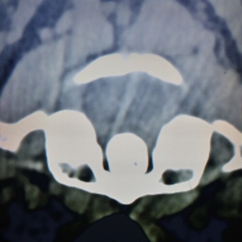 Visit Know1Here's profile on GETTR. View their posts, photos, videos, and connect with them on the social platform.