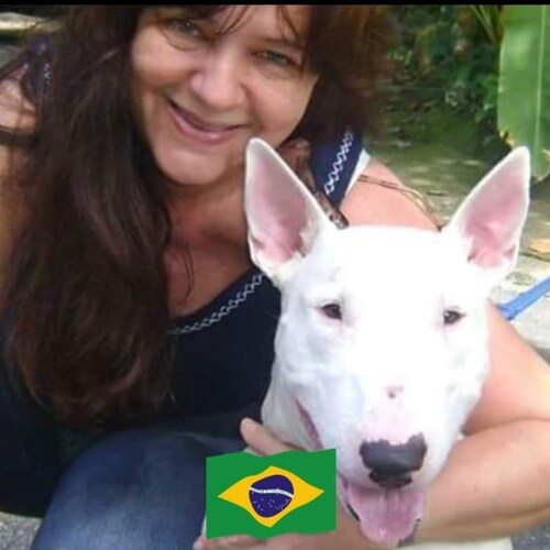 CARIOCA. Falo o que penso. kardecista. Amante da verdade. DEUS, PÁTRIA e FAMÍLIA. Liberdade e Democracia🇧🇷2⃣️2⃣️