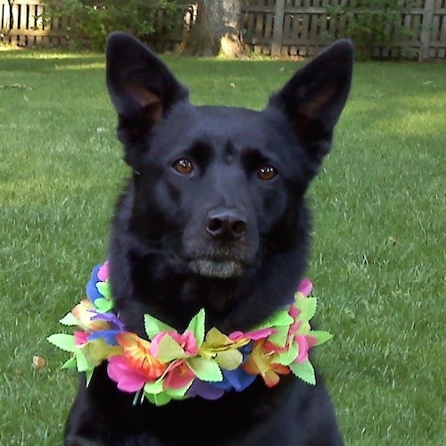 Visit SassyFighter 🍊✔'s profile on GETTR. View their posts, photos, videos, and connect with them on the social platform.