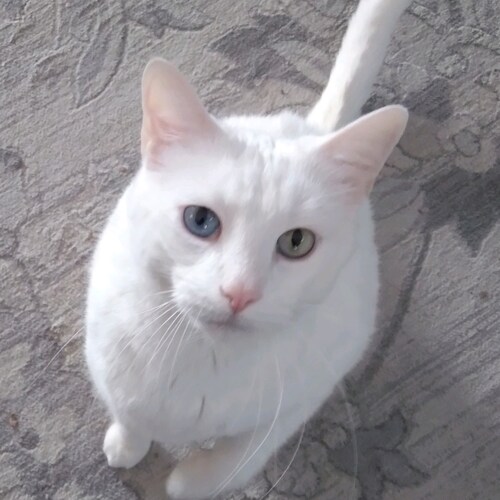 Visit zella_orella's profile on GETTR. View their posts, photos, videos, and connect with them on the social platform.