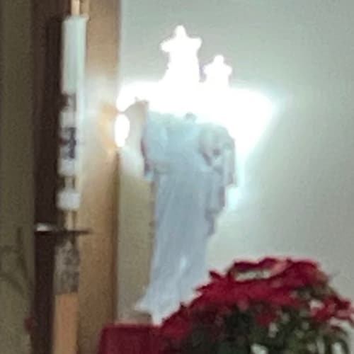 NH Live Free or Die Mom and Wife.  God Bless America 🇺🇸❤️ Freedom isn’t Free.