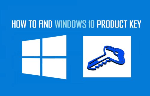 How Do I Create A Windows 10 Product Key

The most common queries that people are asked is how to ge...