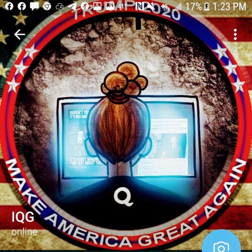 I Love My God, My Country, My Family and My President Trump 🇺🇸💙 Banned from Twitter  & FB 😂  Indiana Hairdresser #WW...