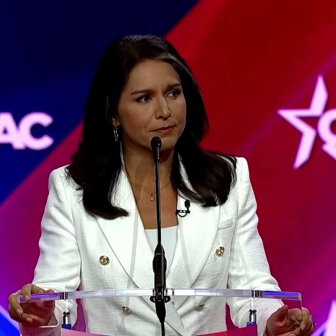 The Democratic Party is weaponizing the security state and federal agencies against political oppone...