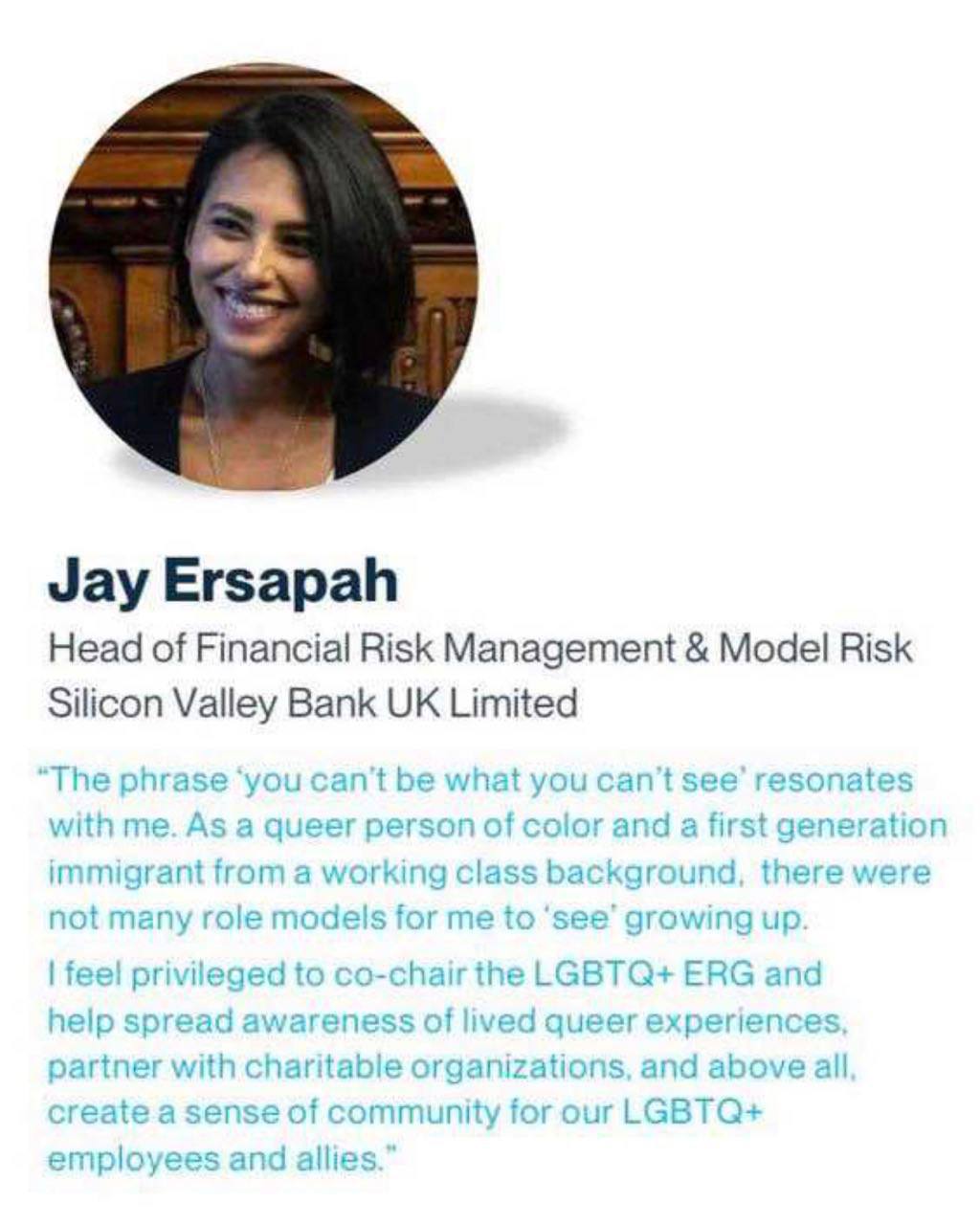 Silicon Valley Bank has collapsed under the weight of its diversity ideologues who were more interes...