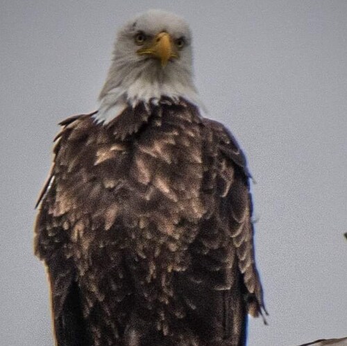 Child of God. Patriot. Marine mom. Proud American 🇺🇸❤️💯🍊🧡