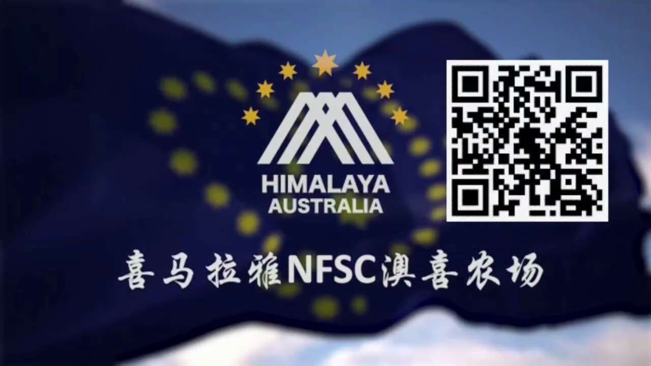 Free Miles Guo (13) Pras Michaels fall är av stor betydelse för släppet av Miles Guo.
Pras Michael 的...