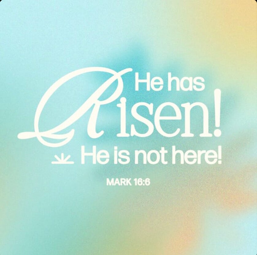 View dochollis's post on GETTR. Join the discussion, share your thoughts, and connect with the community.