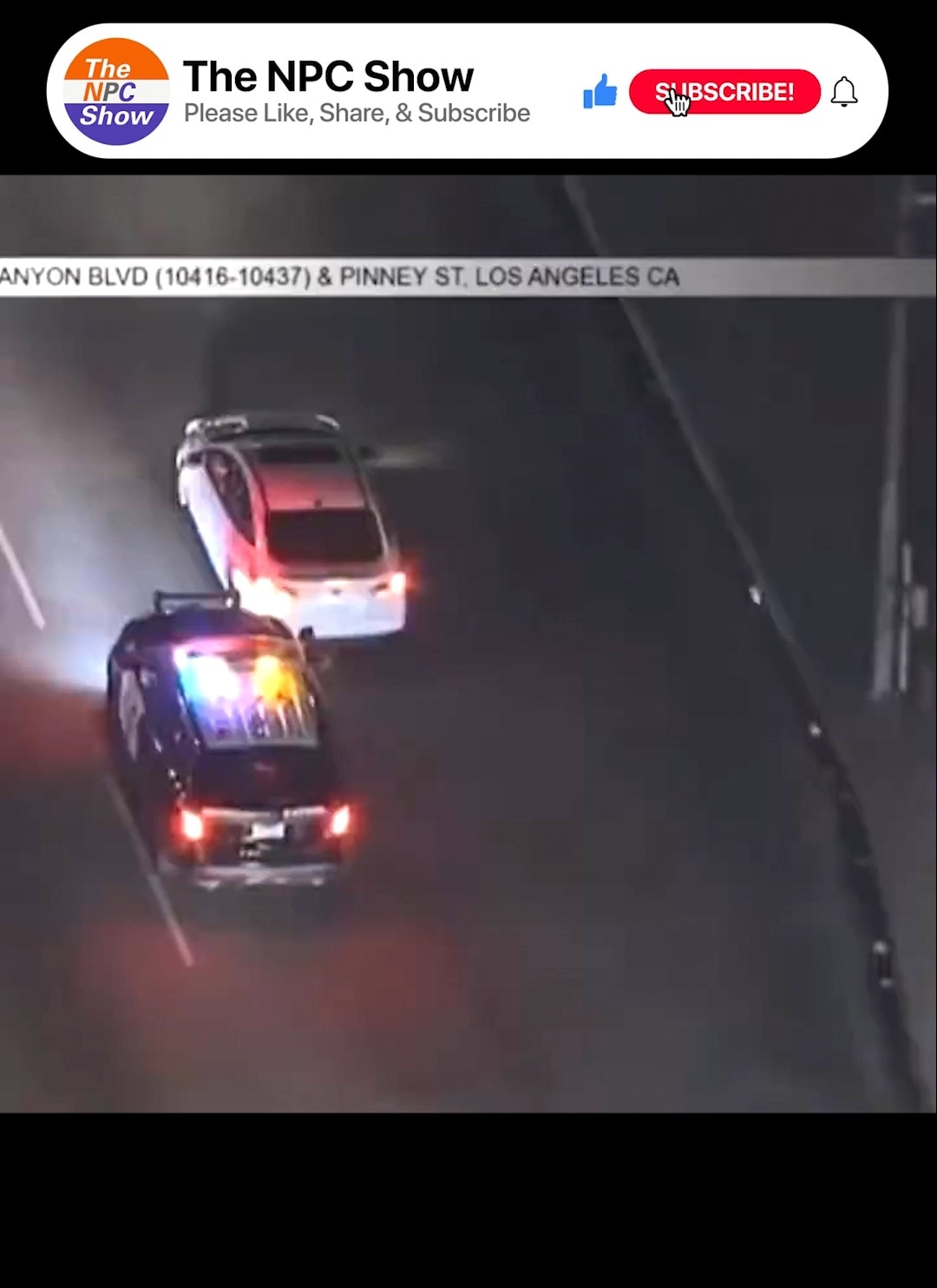 TheNPCShow on GETTR: High-Speed Chase Suspect Breaks Out Dancing