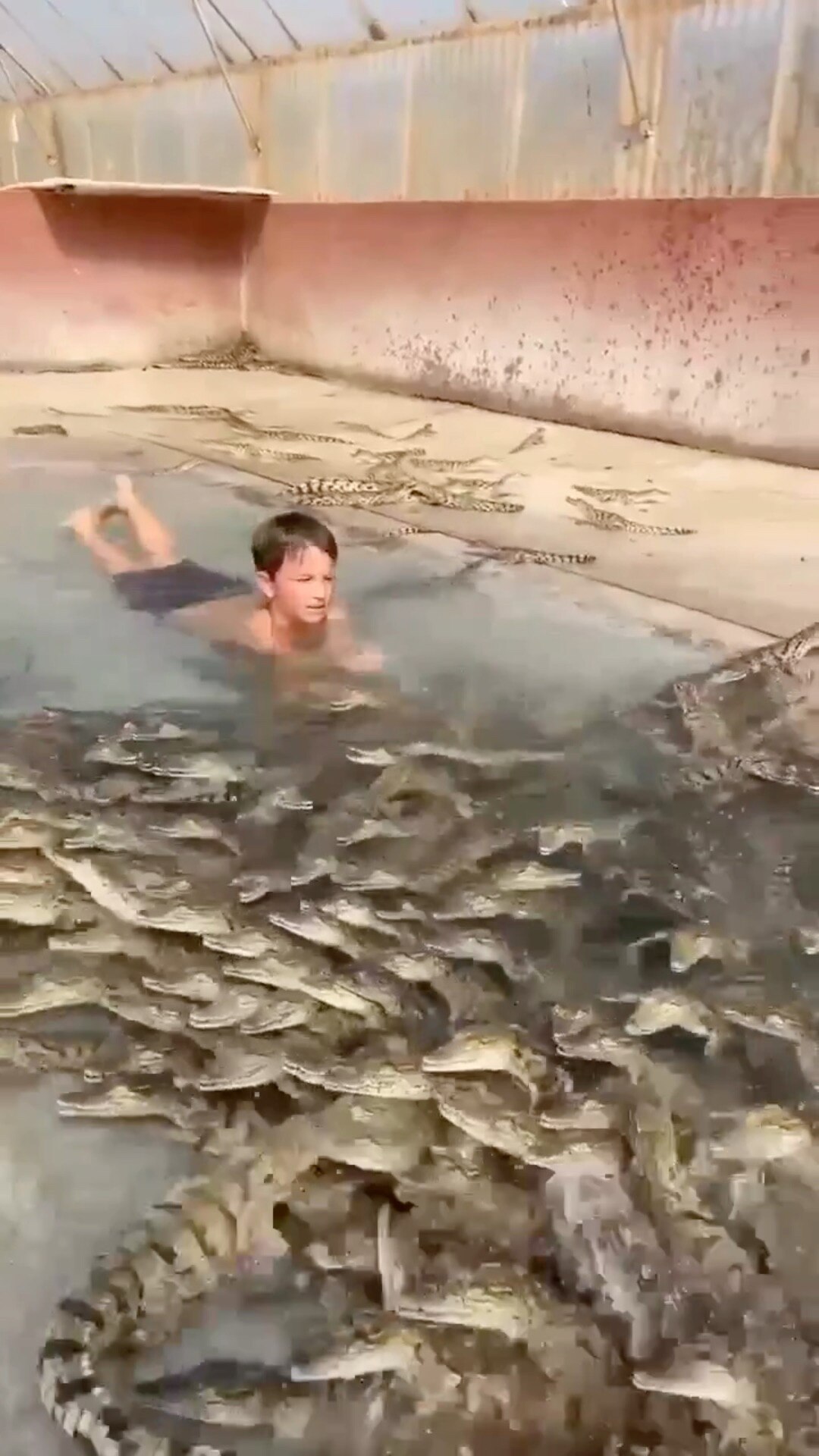 View 粤西's post on GETTR. Join the discussion, share your thoughts, and connect with the community.