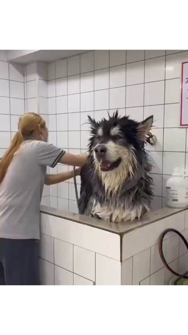 View ☦️🦁⚔ 🆃🆁🅴🅱 ⚔🩸's post on GETTR. Join the discussion, share your thoughts, and connect with the community.