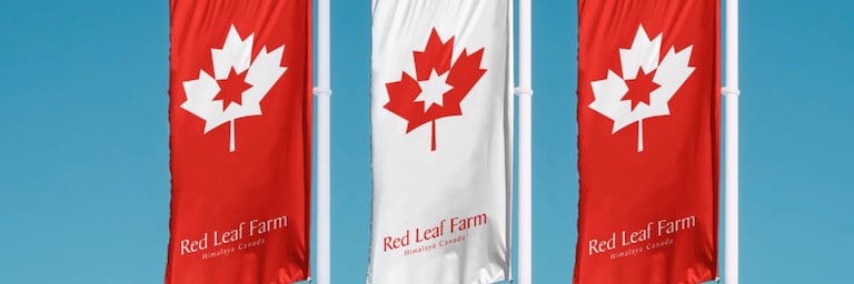 Red Leaf Canada