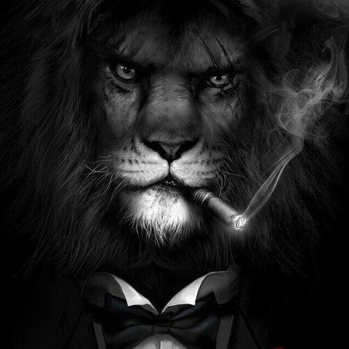 Pro-Life No compromise. 
Dont use abortion for contraception, get sterilised a permanent contraceptive and make us all h...