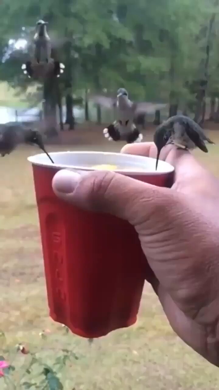 View ☦️🦁⚔ 🆃🆁🅴🅱 ⚔🩸's post on GETTR. Join the discussion, share your thoughts, and connect with the community.