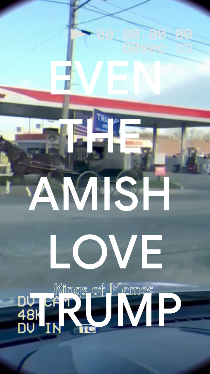 Amish Paradise 