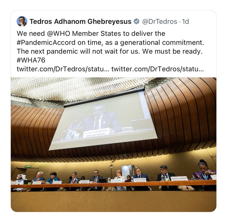 "The next pandemic will not wait for us. We must be ready."
This is the WHO's pretext to "strengthen the global architecture for health emergency prepared