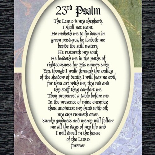 The OFFICIAL DancesWithSquirrels
Back on Twitter @omgwtfddido 


@DancesWithSquirrels on Truth
@omgwtfddido on Twit...