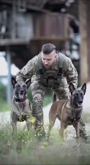 BadAss Dogs 🇺🇸🦅🇺🇸🦅🇺🇸🦅🍻 

