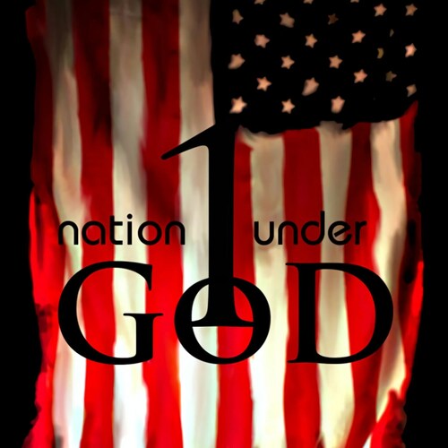 Bible Reading Jesus Believing America Loving Fighter for God and Justice Pro IsraelPro LifePro Traditional MarriagePro C...