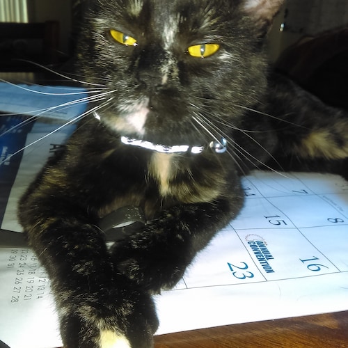 @RepDanBishop 
Vacate the Chair! TODAY. WE, the American citizens are tired of being betrayed. THIS ...