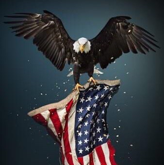 Christian, husband, father and Patriot. USA needs Jesus!!  love woodworking and common sense !!