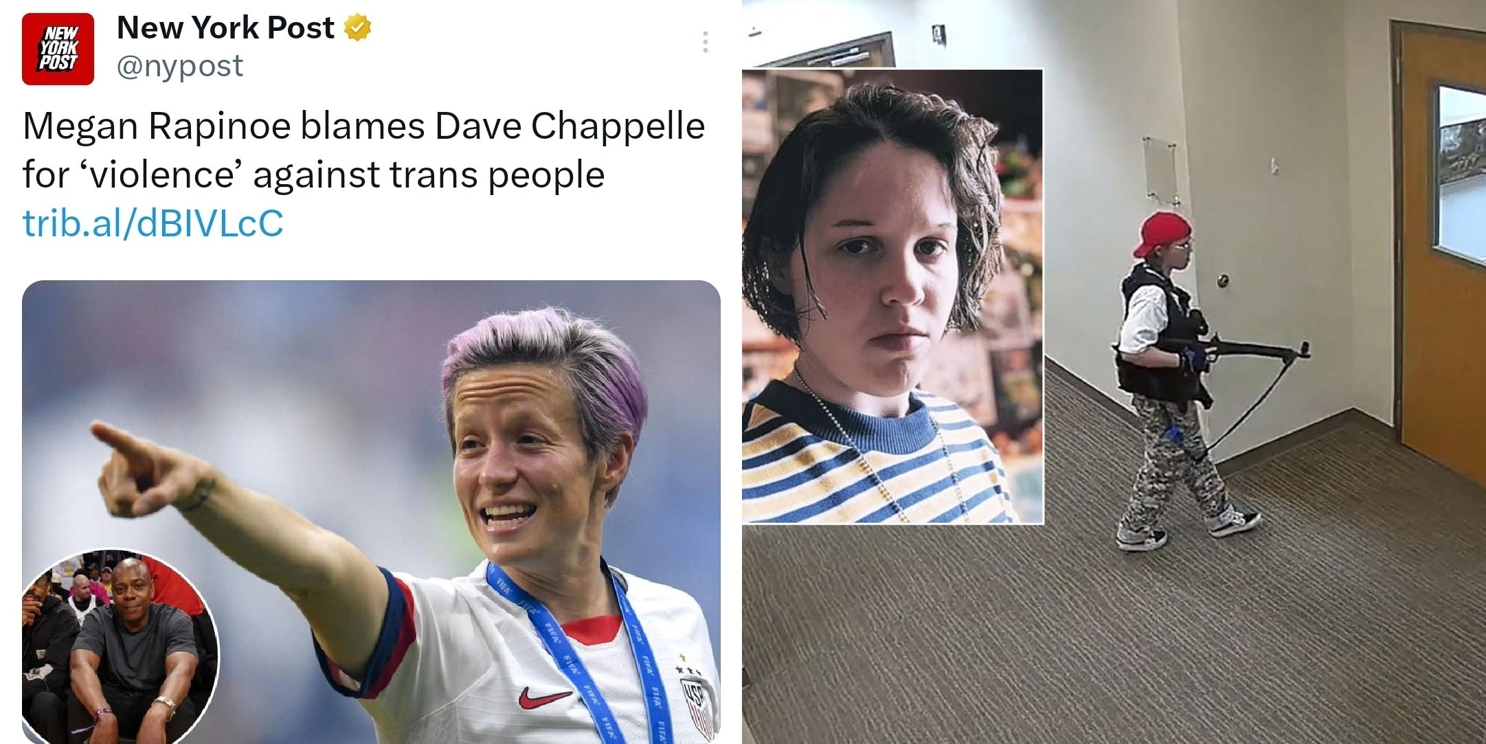 Trans terrorists like Audry Hale arguably agreed with Rapinoes' delusional take, which is likely why...