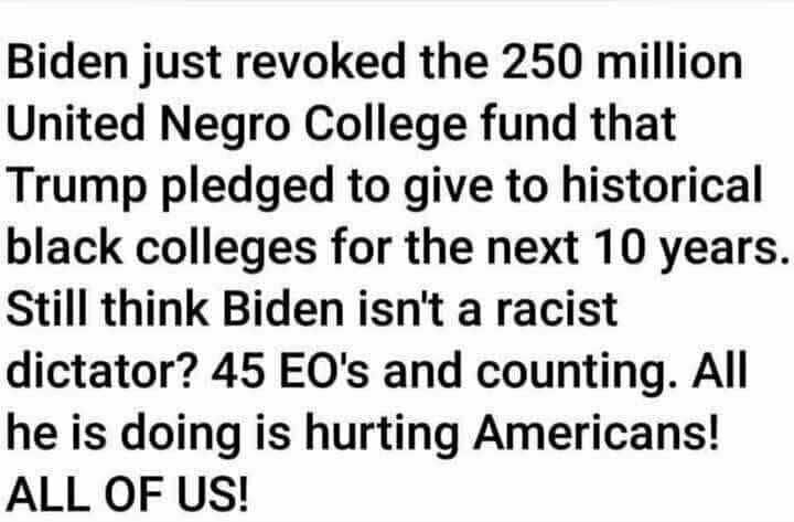 Remember This If You Vote for TRUMP " You Ain't Black "