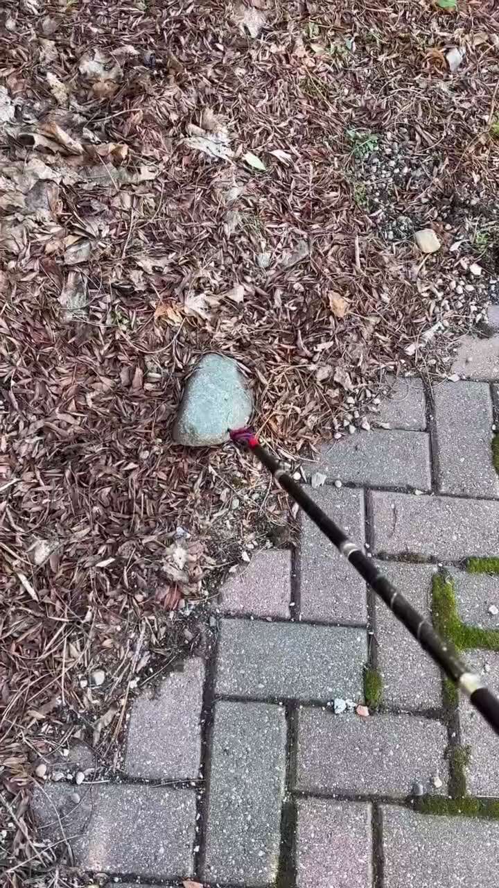 View Lodger Limansky's post on GETTR. Join the discussion, share your thoughts, and connect with the community.