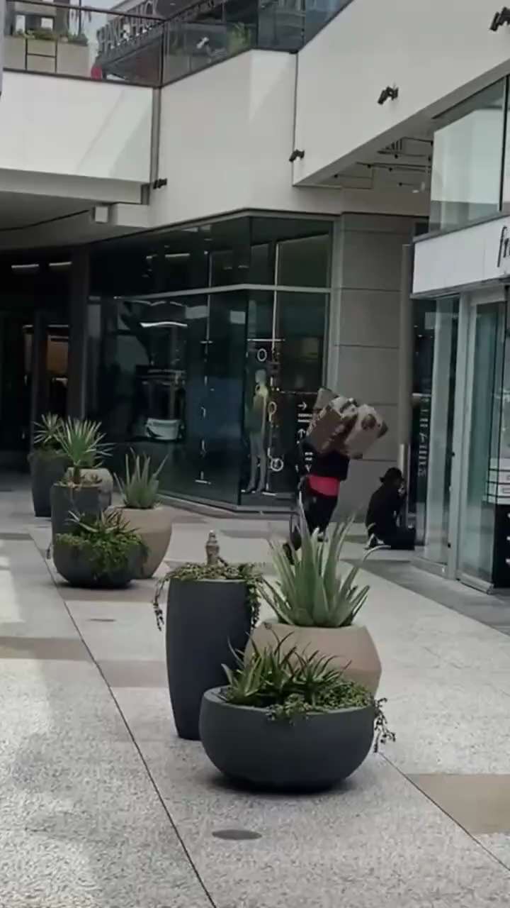 Democrats rob Gucci store in Beverly Hills