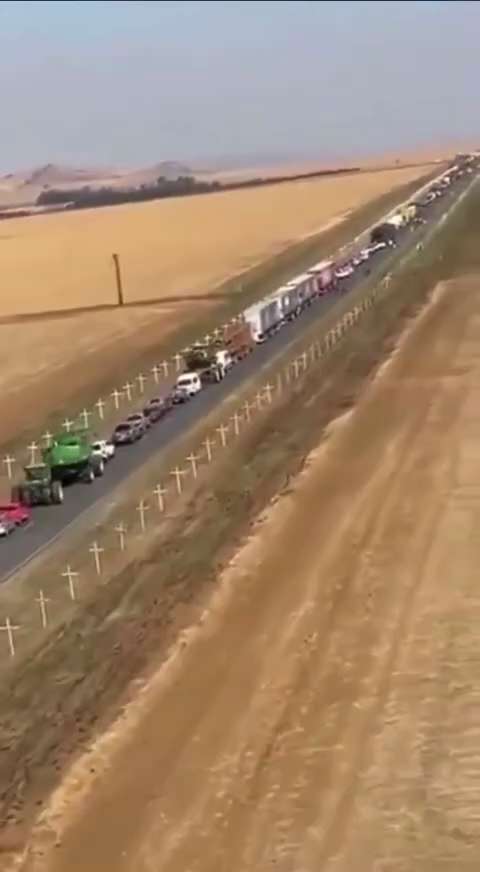 Video of a stadium filled with South Africans chanting for the death of white farmers has gone viral...