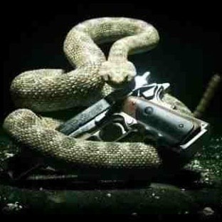 proud American “”Domestic terrorists “” since 2008  according to Biden, Obama, “”DOJ””