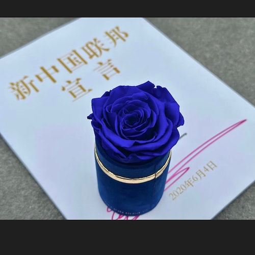 文贵先生让我知道：人可以站着活！🙏