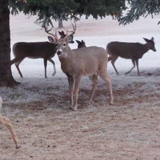 Visit csmroofer's profile on GETTR. View their posts, photos, videos, and connect with them on the social platform.