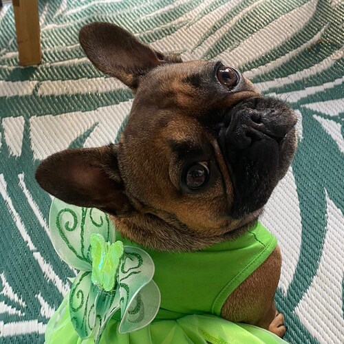 former art teacher, current entrepreneur, patriot, and most importantly a Christian.