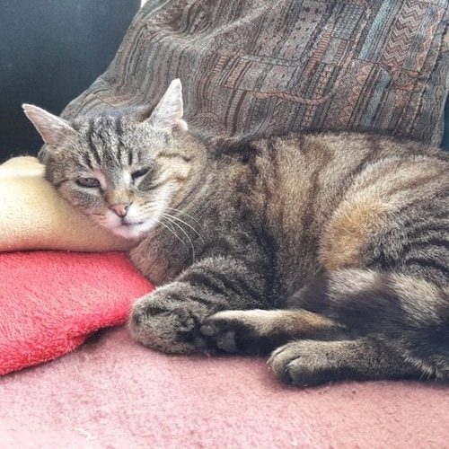 Visit Franz Bachmann🇸🇴🇾🇪🇦🇫's profile on GETTR. View their posts, photos, videos, and connect with them on the social platform.